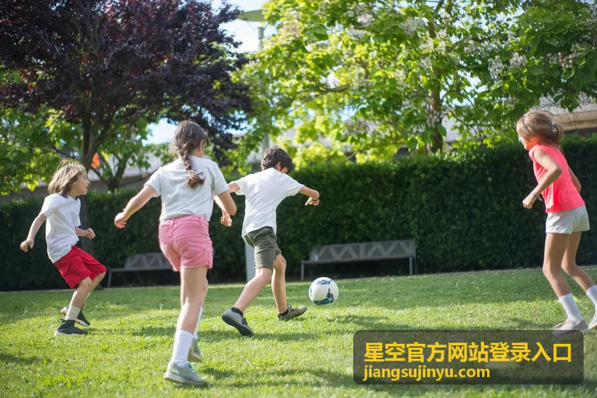 星空官方网站登录入口在不同设备上的显示效果
