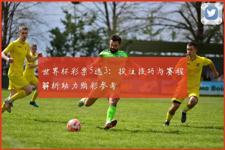 世界杯彩票5选3：投注技巧与赛程解析助力购彩参考