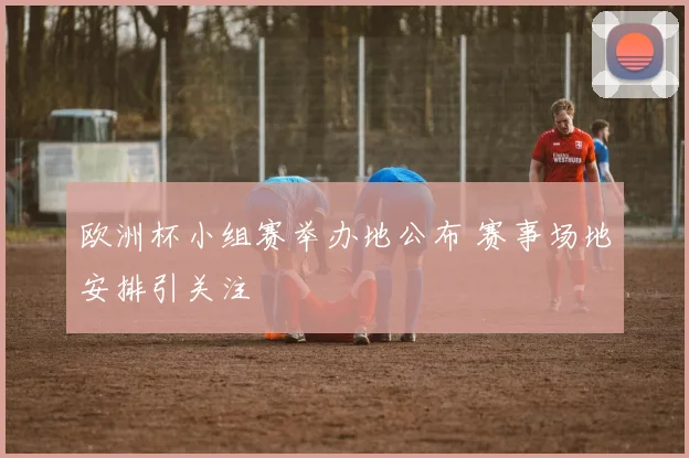 欧洲杯小组赛举办地公布 赛事场地安排引关注