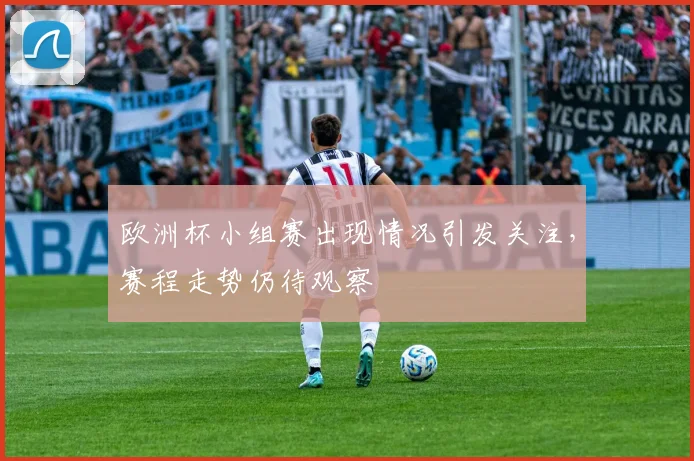 欧洲杯小组赛出现情况引发关注,赛程走势仍待观察