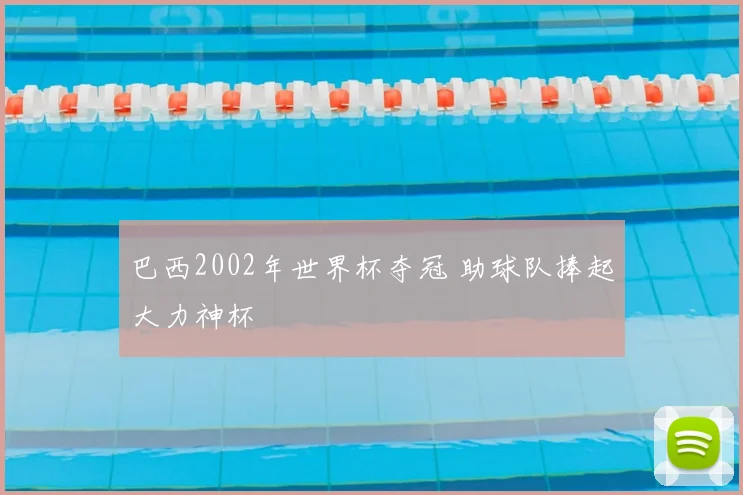巴西2002年世界杯夺冠 助球队捧起大力神杯