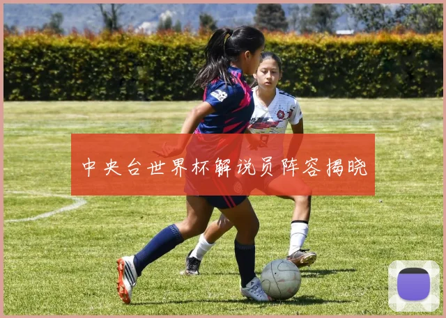 中央台世界杯解说员阵容揭晓