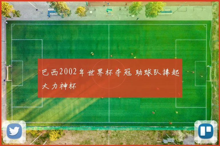 巴西2002年世界杯夺冠 助球队捧起大力神杯
