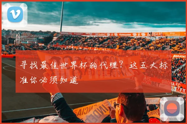寻找最佳世界杯狗代理？这五大标准你必须知道