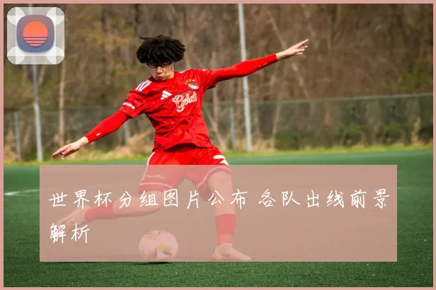 世界杯分组图片公布 各队出线前景解析