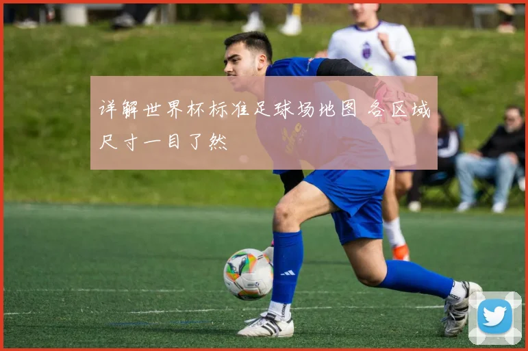 详解世界杯标准足球场地图 各区域尺寸一目了然
